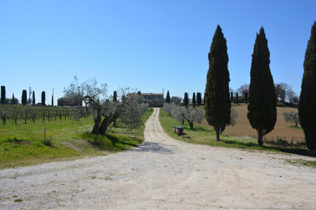 Montoro  Scappo In Umbria, Casale Montiヴィラ エクステリア 写真